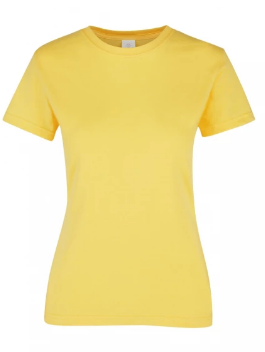 Remera a la base de DAMA