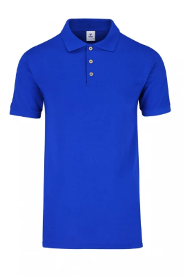 Remera tipo Polo