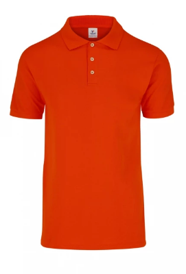 Remera tipo Polo