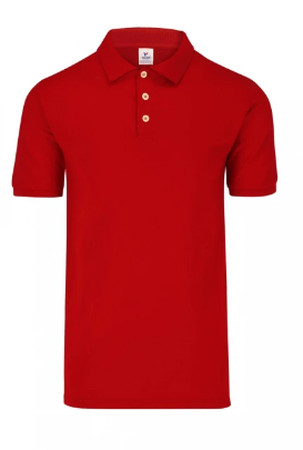 Remera tipo Polo
