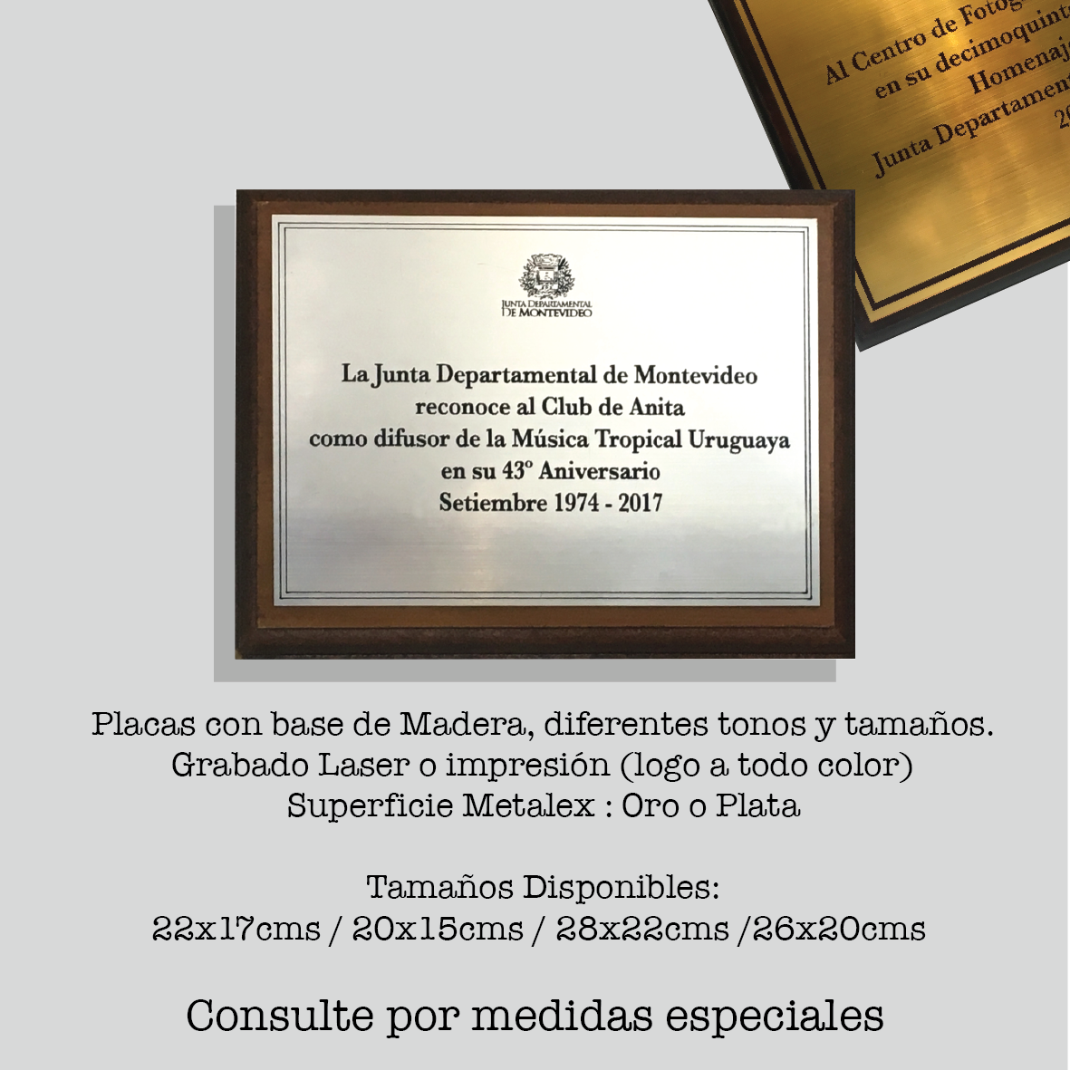 Placa de reconocimiento (20x15cm)