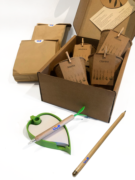 Kit biodegradable con semillas y macetas. Logo personalizado, regalo empresarial.