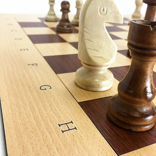 Juego de Ajedrez Grande - Marco con coordenadas