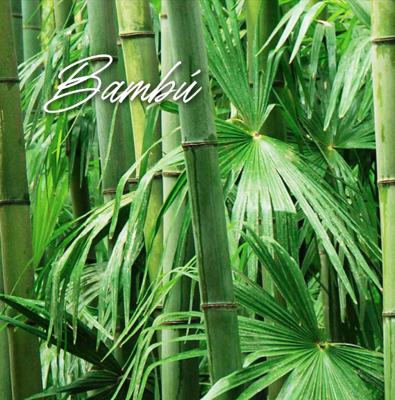 Productos de Bambú