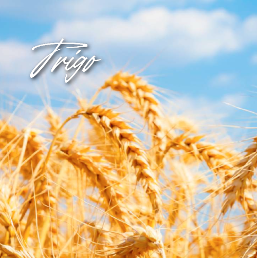 Productos Eco-Bio Trigo