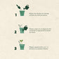 Instrucciones de lapiz plantable. Semillas en la punta. Logo personalizado, regalo corporativo.