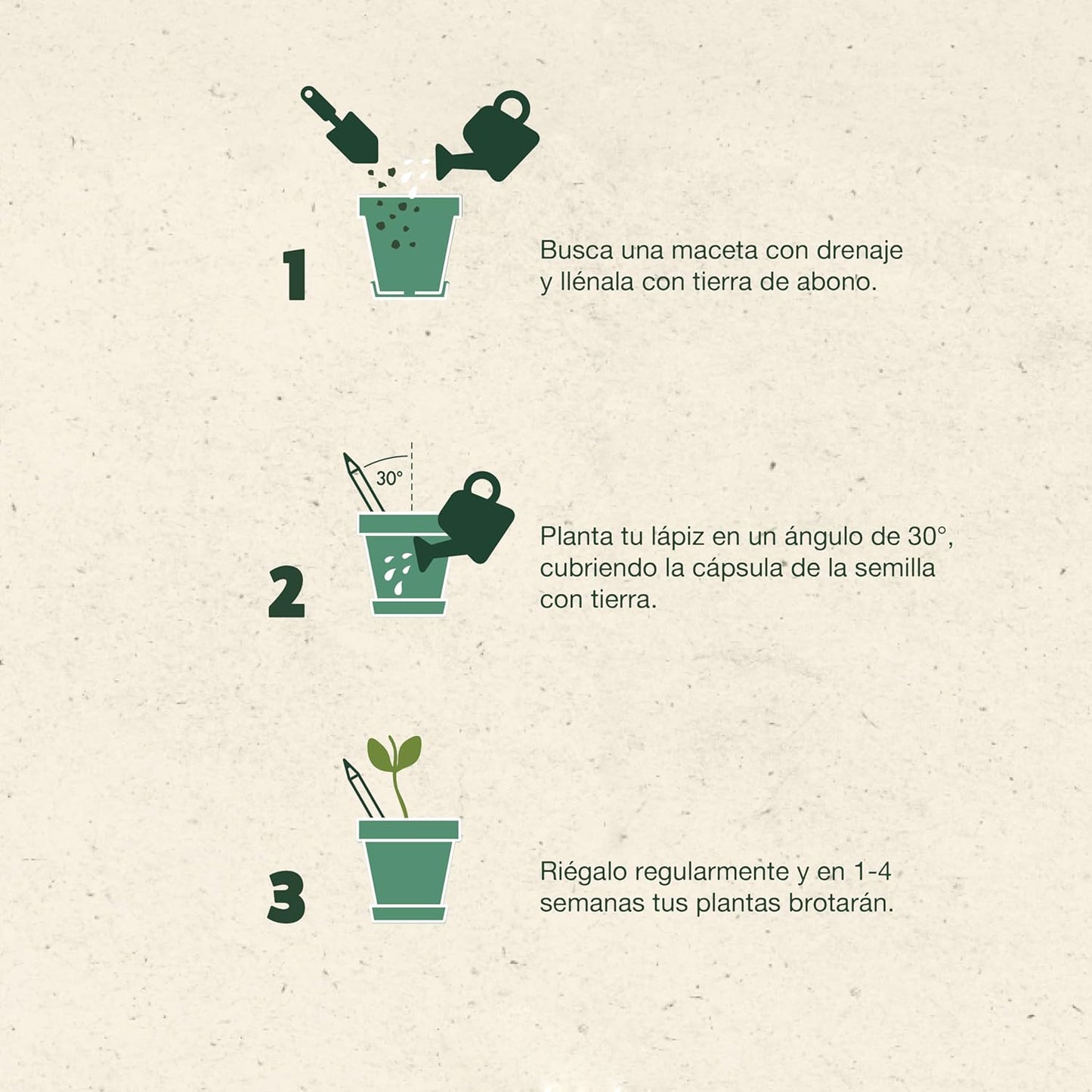 Instrucciones de lapiz plantable. Semillas en la punta. Logo personalizado, regalo corporativo.