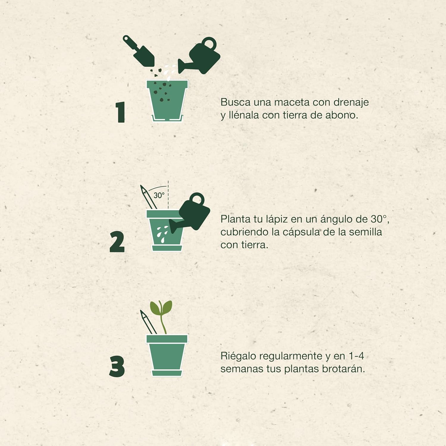 Instrucciones de lapiz plantable. Semillas en la punta. Logo personalizado, regalo corporativo.