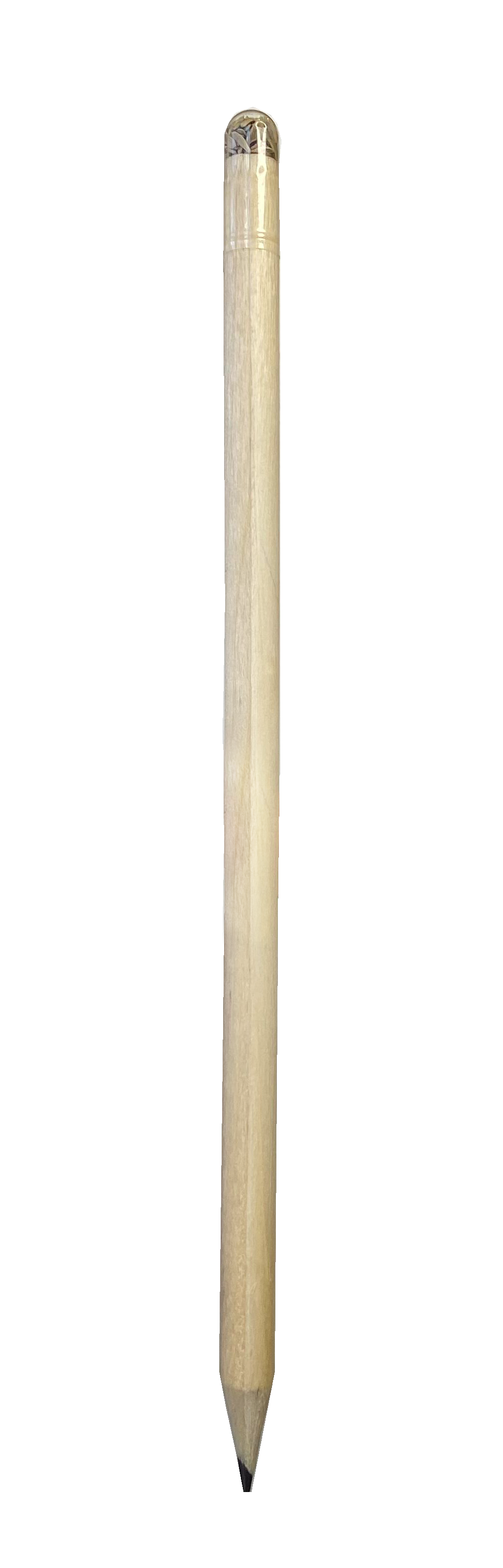 Lápiz plantable, cuerpo de madera, semillas en la punta. Logo personalizado, regalo empresarial.