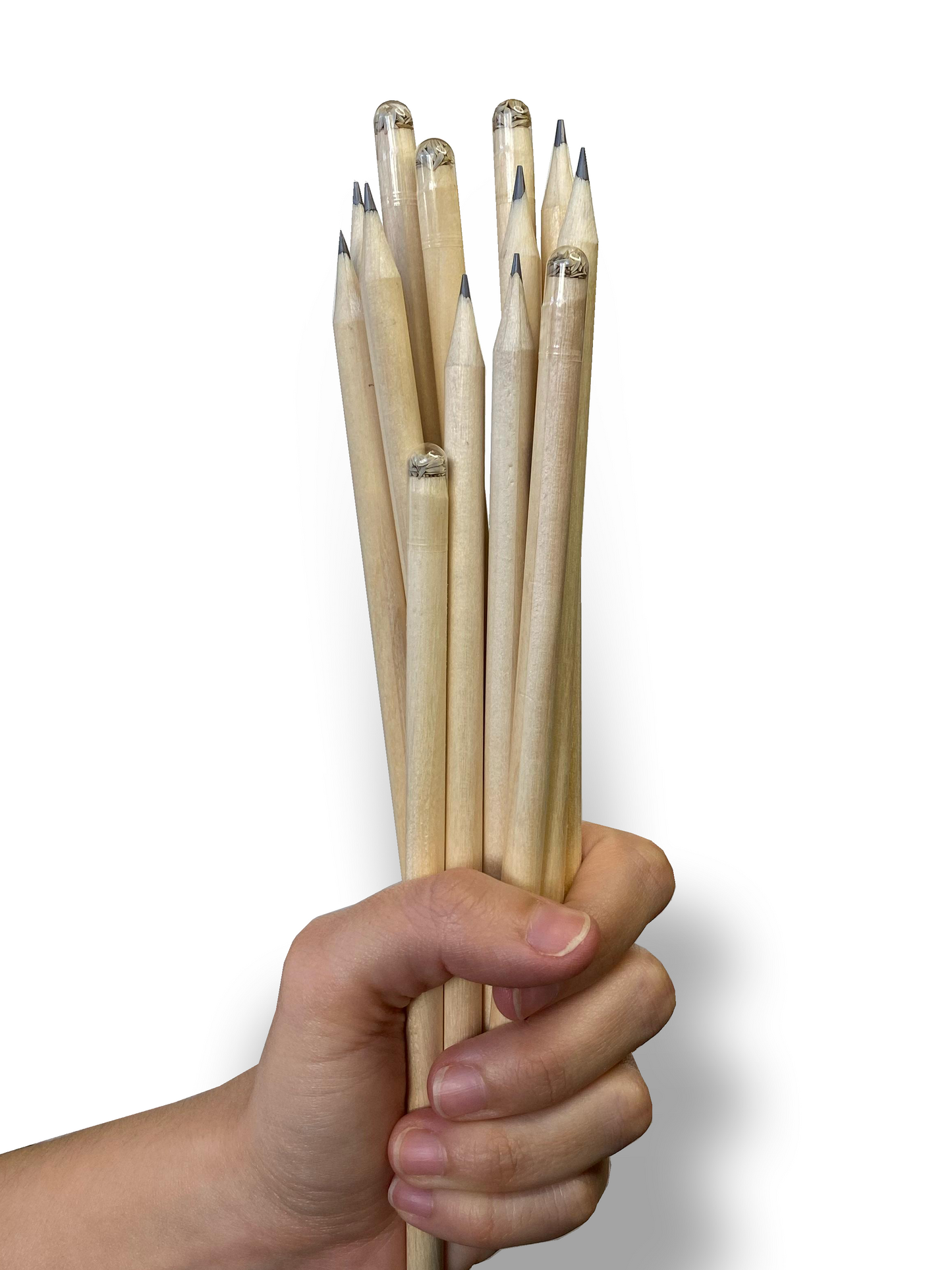 Lapices plantables.cuerpo de madera, semillas en la punta y estuche kraft personalizado. Regalo empresarial.