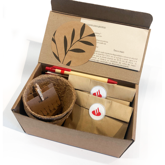Kit ecológico para regalos empresariales incluye macetas biodegradables, lápiz plantable, libreta y lapicera ecológicas, semillas y dos bolsitas de tierra. Incluye instrucciones de germinación y se presenta en una caja con viruta